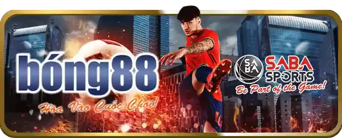 Chương trình hoàn trả